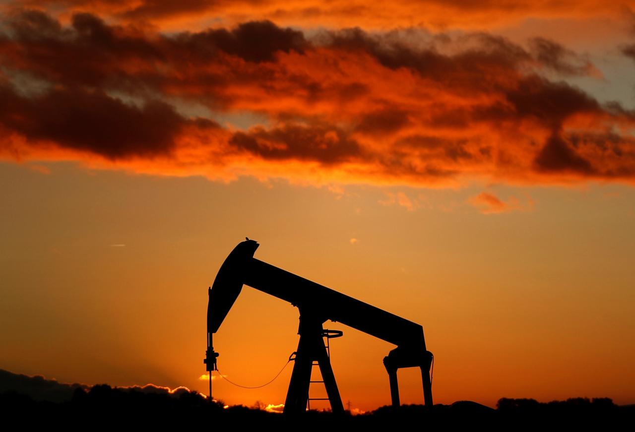Oil rises to $56 on Saudi export cut