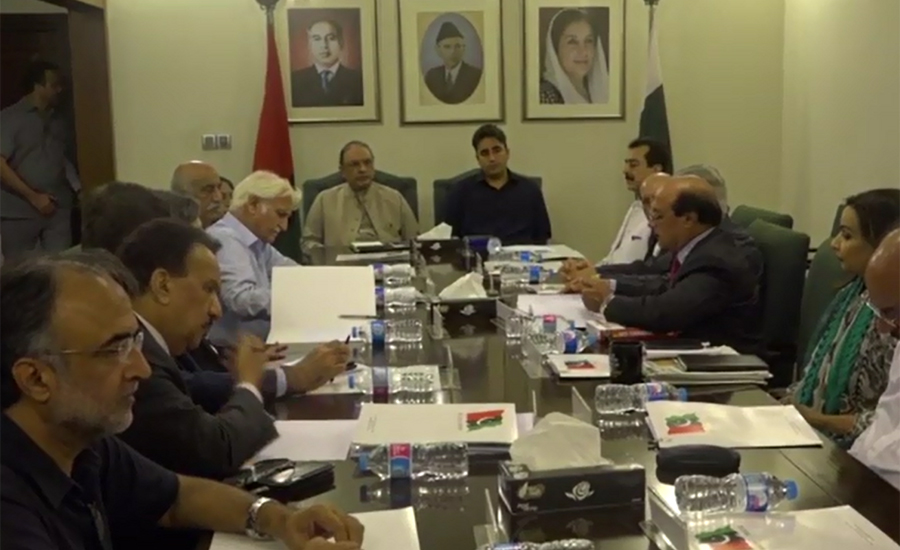 PPP supports democracy, democratic institutions: declaration