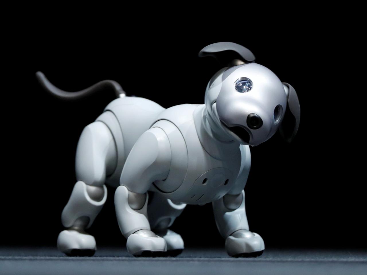 Sony revives pet AI project with updated AIBO robot dog