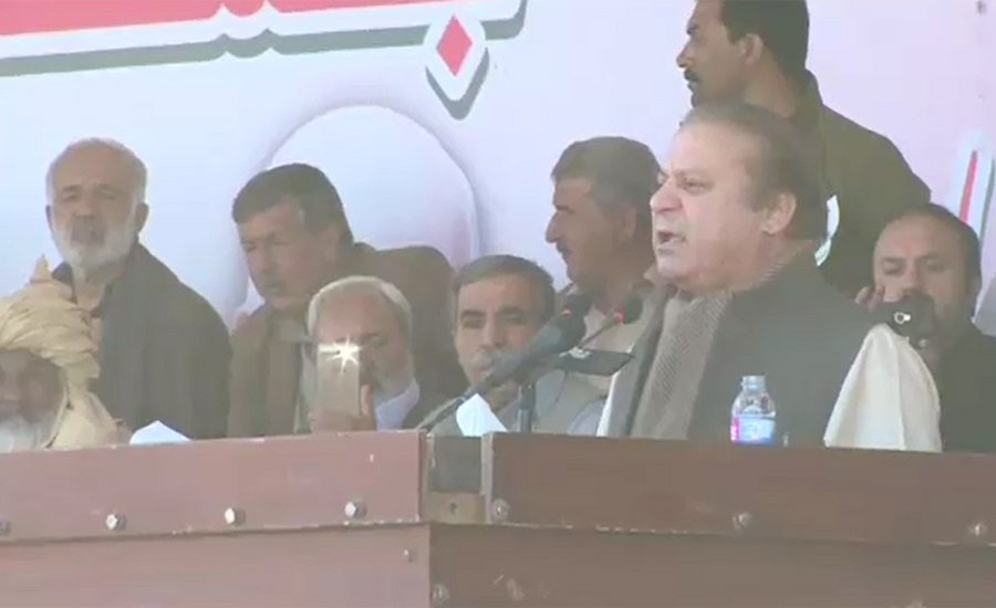 Nawaz Sharif vows to establish rule of law & constitution in country