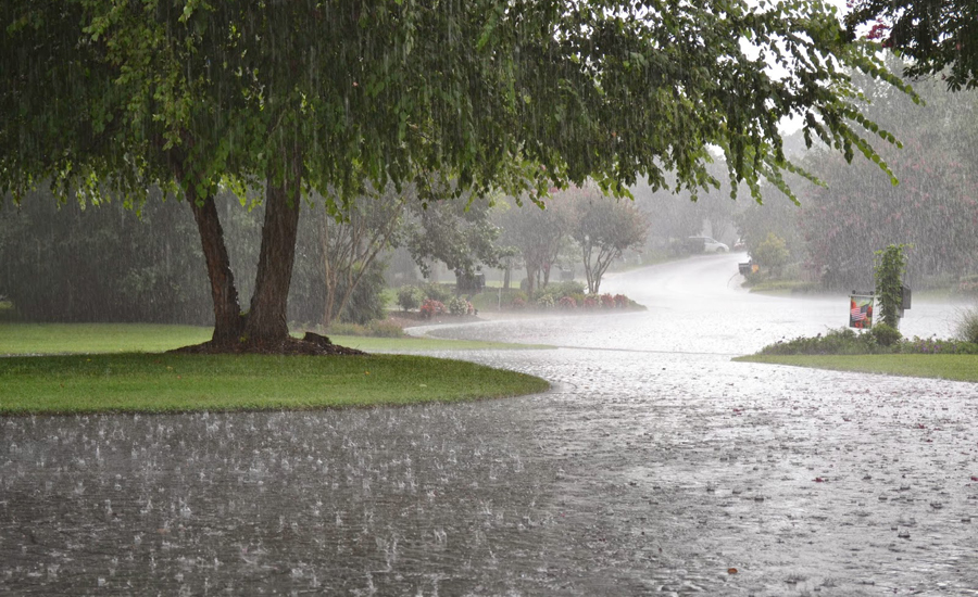 Rain spell of monsoon continues across Punjab