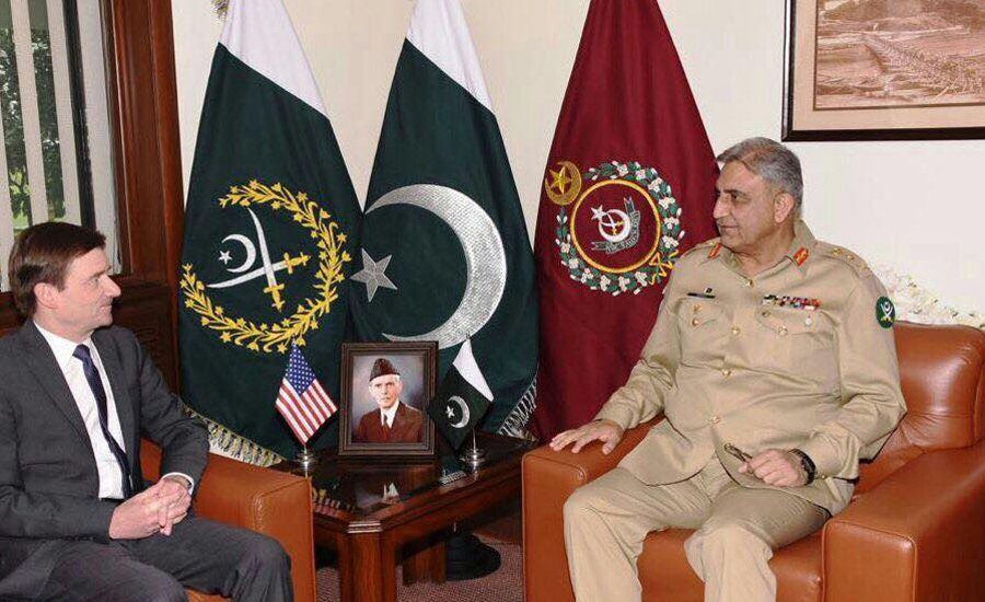 US Ambassador David Hale calls on COAS Gen Qamar Bajwa