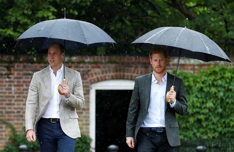 UK Princes William and Harry announce sculptor for new Diana statue