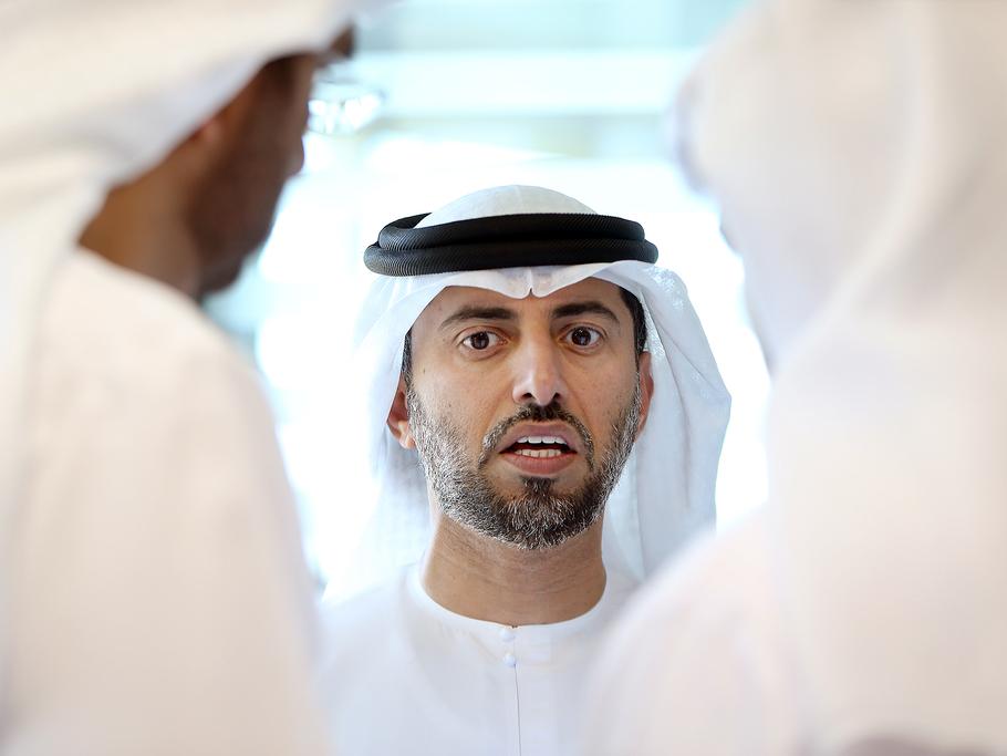 UAE energy minister says expects rebound of shale oil supply