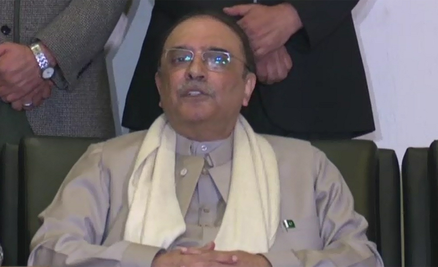 ECP reveals assets details of former president Zardari