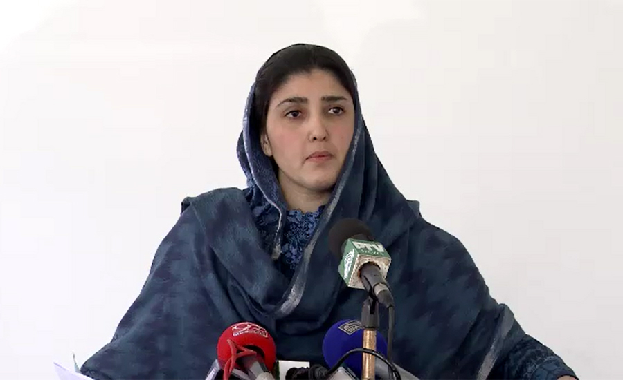 PML-N offered me Senate ticket in return to bashing institutions, says Gulalai