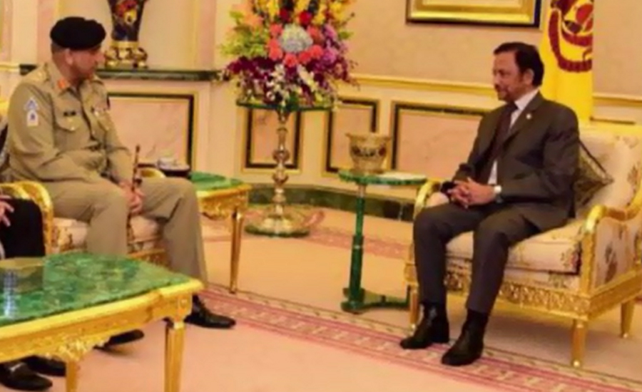 COAS Gen Qamar Bajwa calls on Brunei Sultan Haji Hassanal Bolkiah