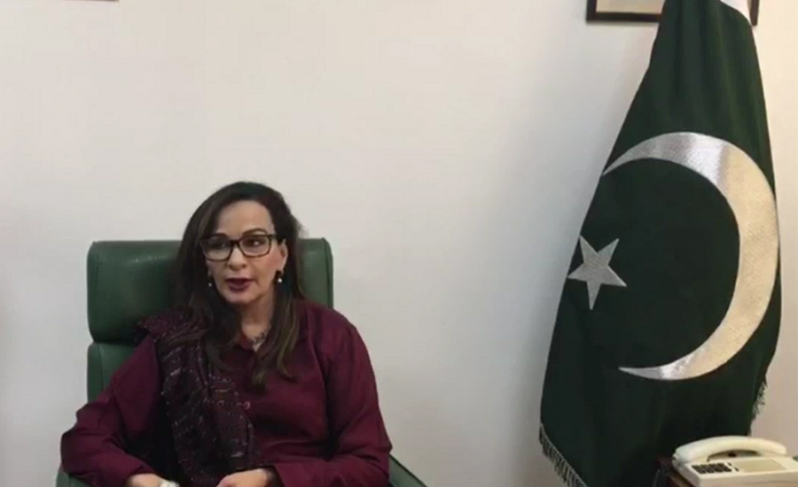 Sherry Rehman elected first female opposition leader in Senate
