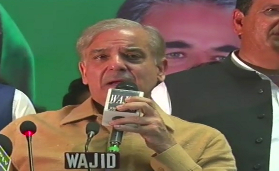 NAB summons ex-CM Shehbaz Sharif in PPDC case on July 5