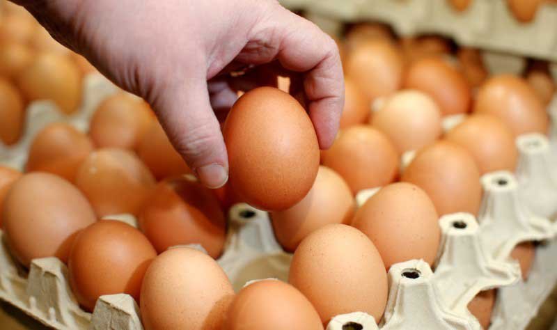 Egg a day tied to lower risk of heart disease