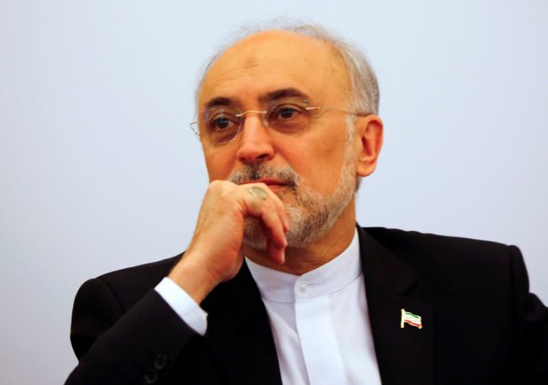Iran can resume 20 percent enrichment if EU fails to retain nuclear deal