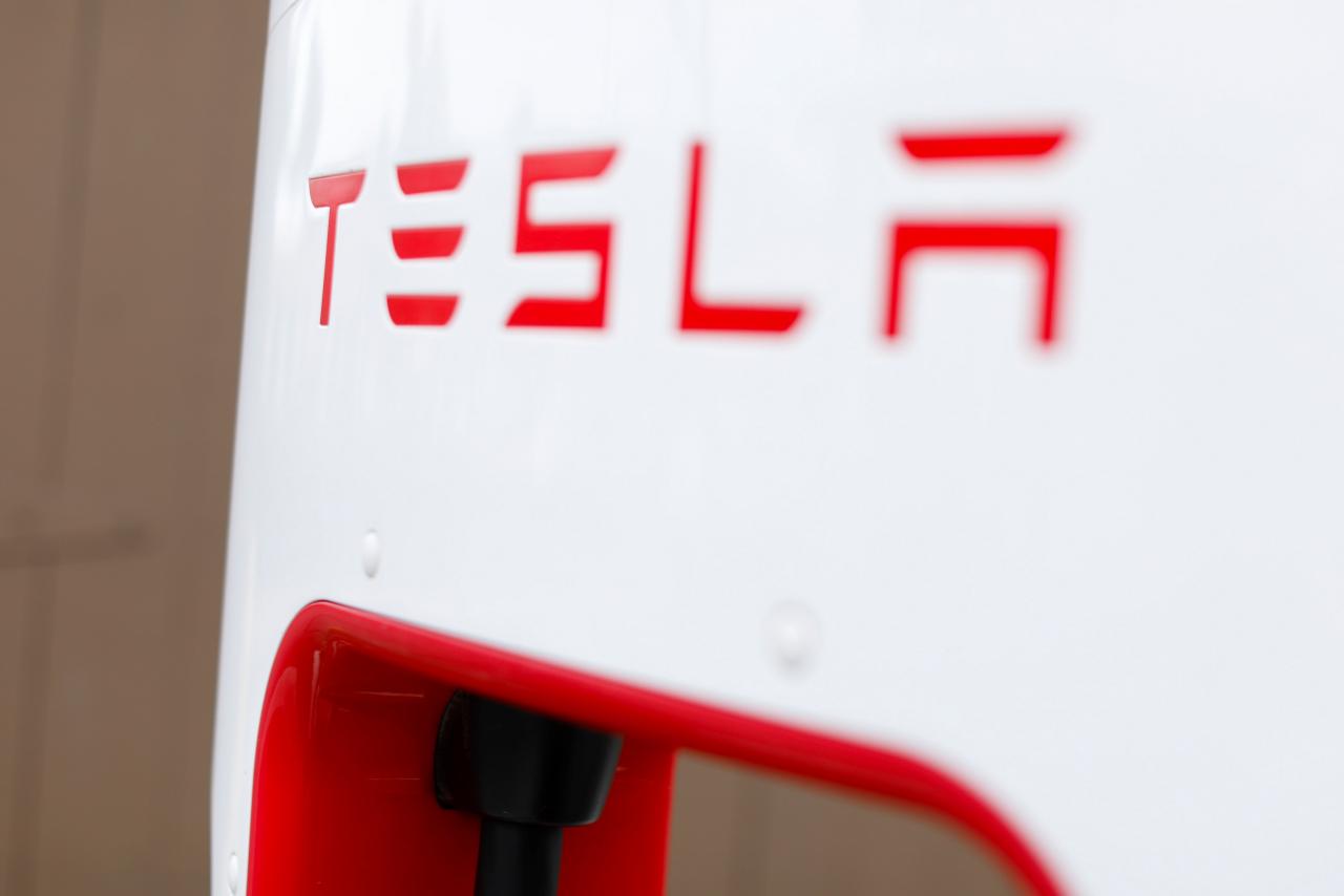 World's top wealth fund opposed Musk's double role at Tesla