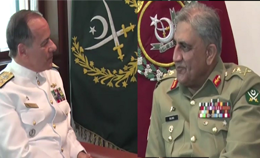 Brazilian armed forces chief, COAS discuss military cooperation, security