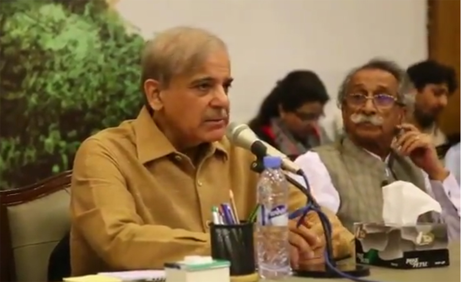 Shehbaz Sharif asks newly-elected MPAs to focus on next elections