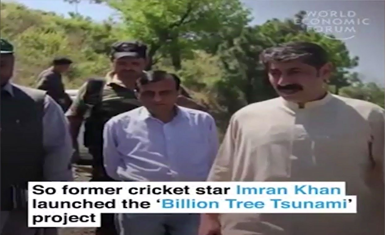 WEF releases report about PTI's billion tree tsunami project