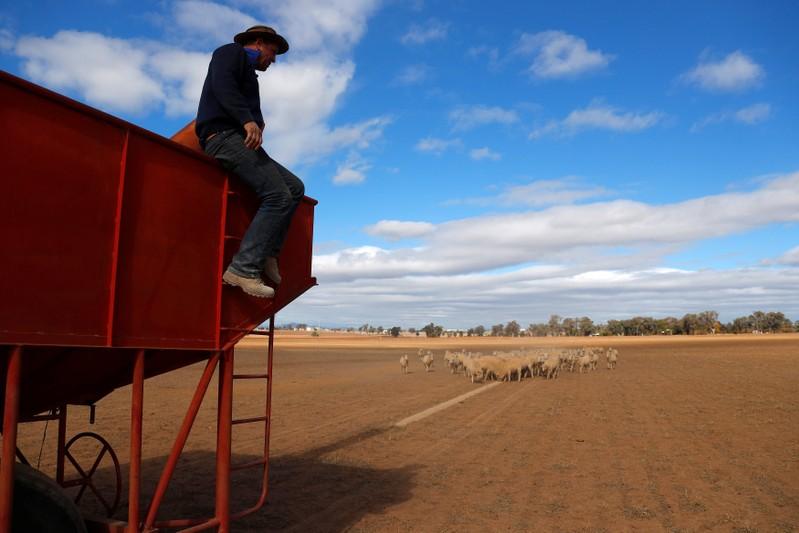 Australia’s drought is like a cancer eating away at farms and families