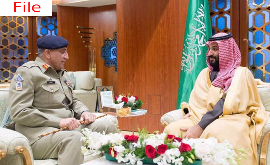 Saudi crown prince, COAS Qamar Bajwa discuss regional security in Mina