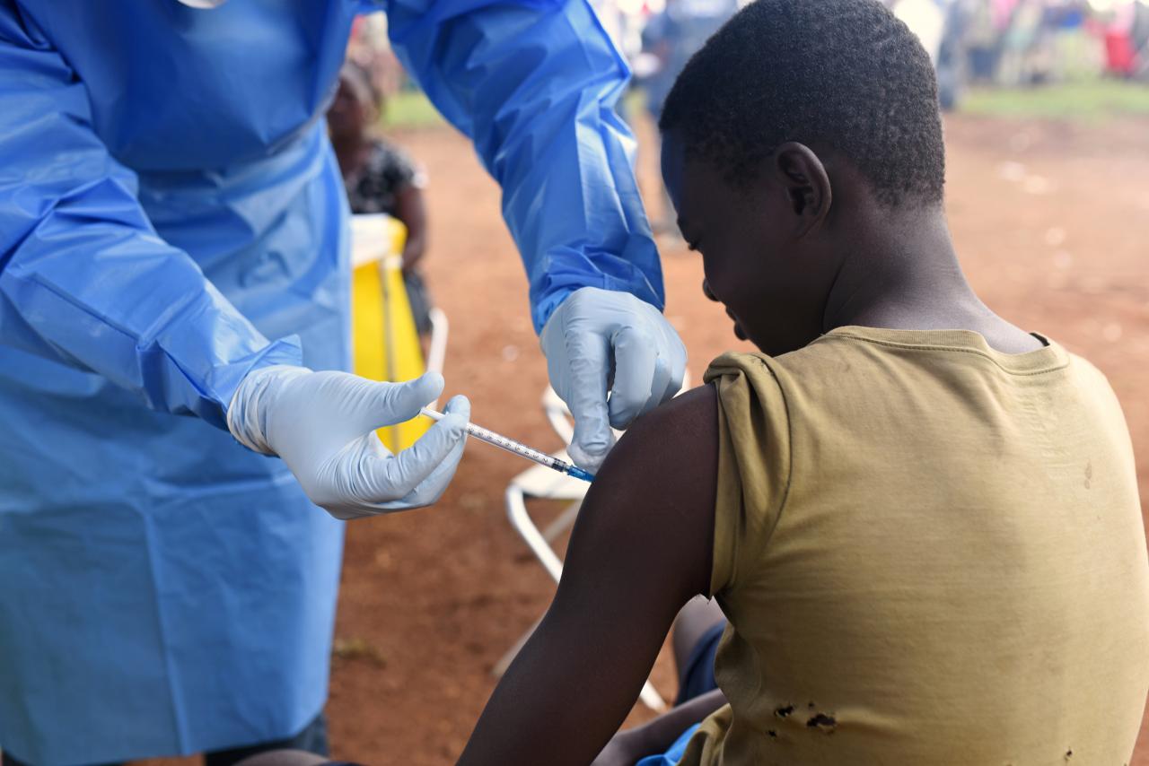 Ebola control measures seem to be working in Congo, WHO says