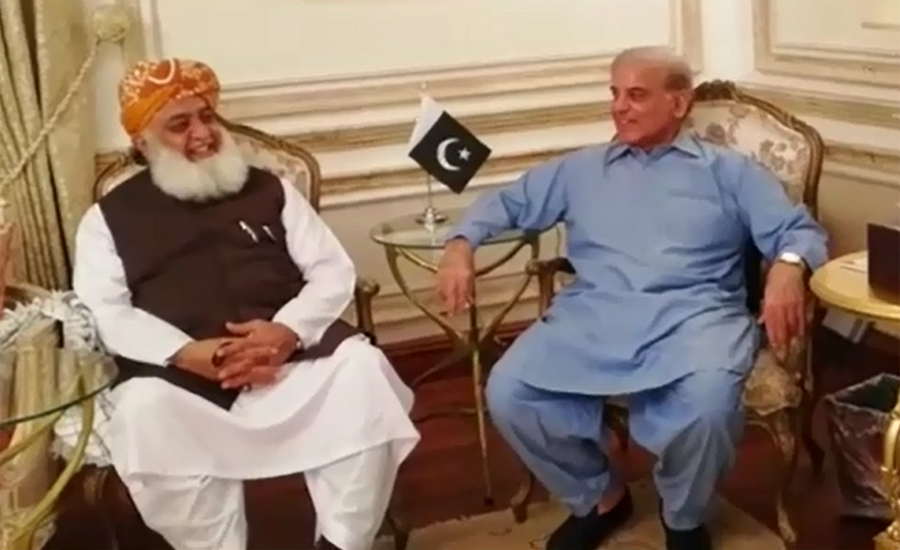 Fazl, Shehbaz agree to continue efforts for joint presidential candidate