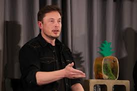 Tesla, Musk sought to 'burn' Citron, other short-sellers: lawsuit