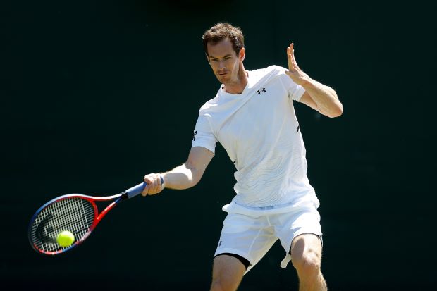 Tennis player Murray ends season after defeat by Verdasco in Shenzhen