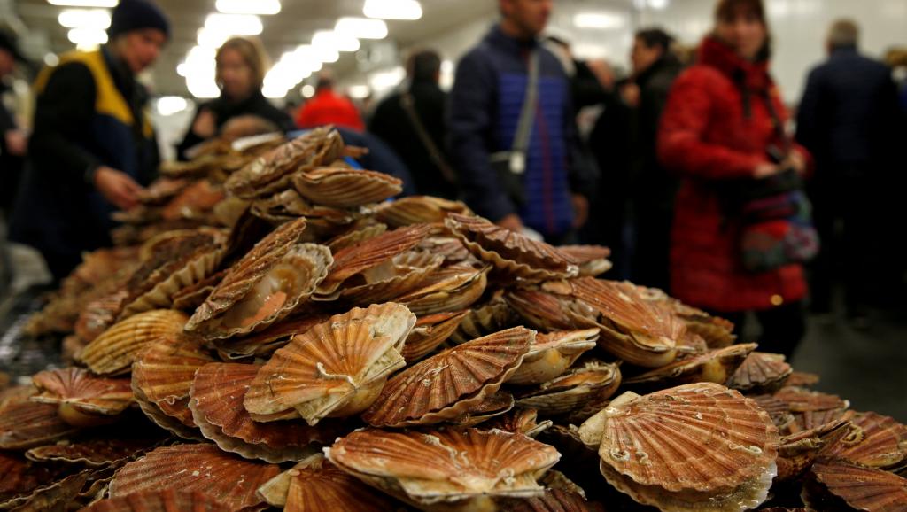 France, Britain reach deal over scallop fishing dispute