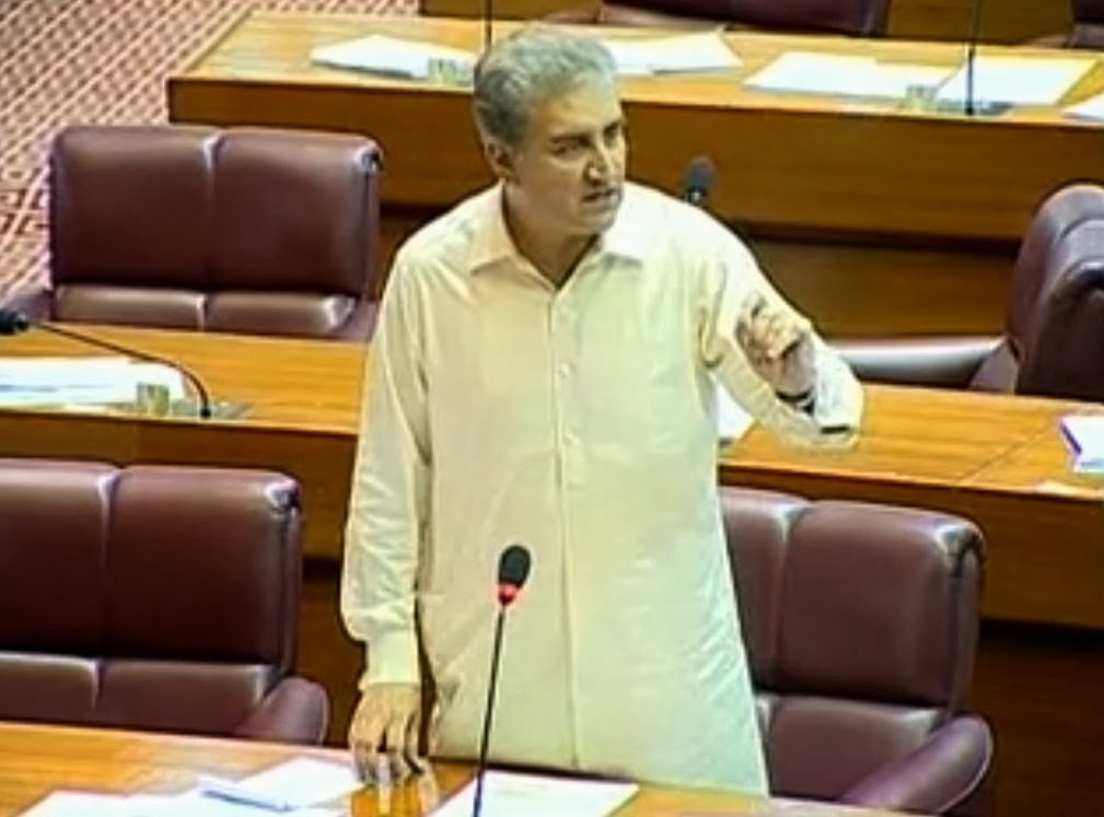 FM Qureshi asks for joint efforts to tackle water crises across country