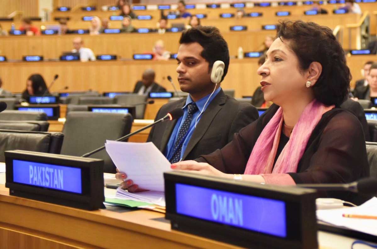 PM’s policies aim at reviving economy in country: Maleeha Lodhi