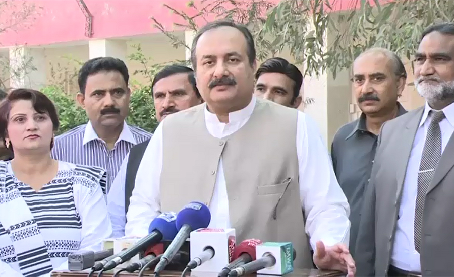 PML-N can form govt in Punjab within two months: Rana Mashood