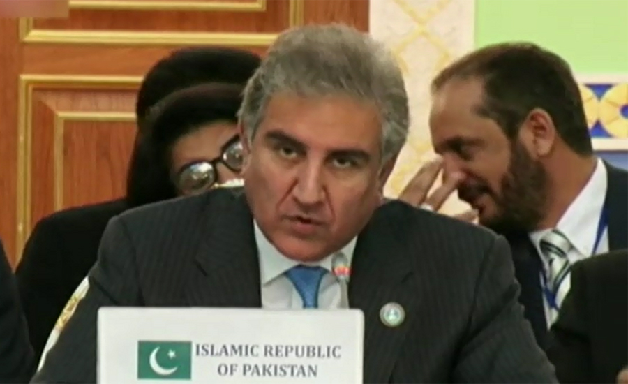 Believe in working jointly for mutual interests of SCO countries: FM Qureshi