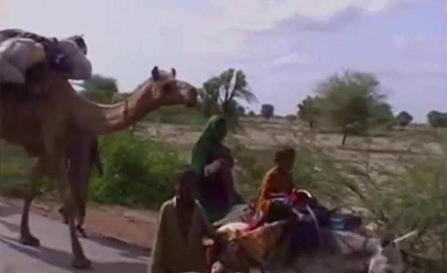 People forced to migrate as draught again hits Cholistan