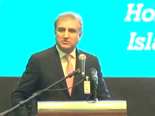 FM Qureshi seeks economic diplomacy to bring investment in Pakistan