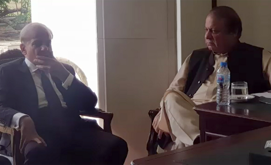 Ex-PM Nawaz Sharif, Shehbaz Sharif discuss party matters