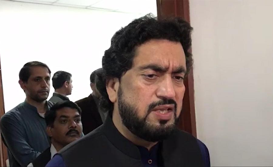 State will take action where writ will be challenged: Shehryar Afridi