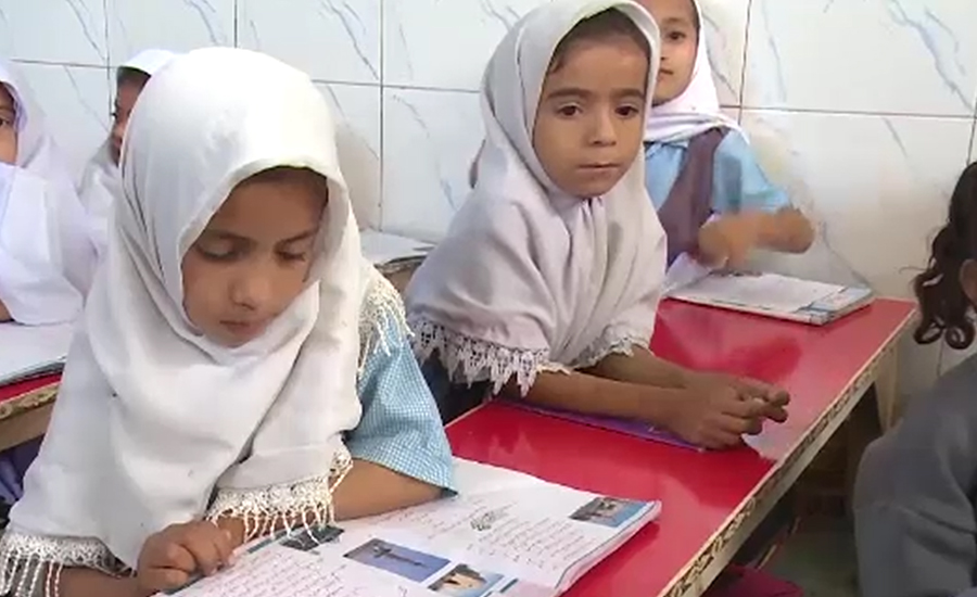 Sindh education dept suspends registration of private schools