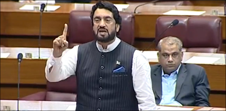 Anti-Pakistan forces conspiring to destabilize situation, Afridi tells Senate