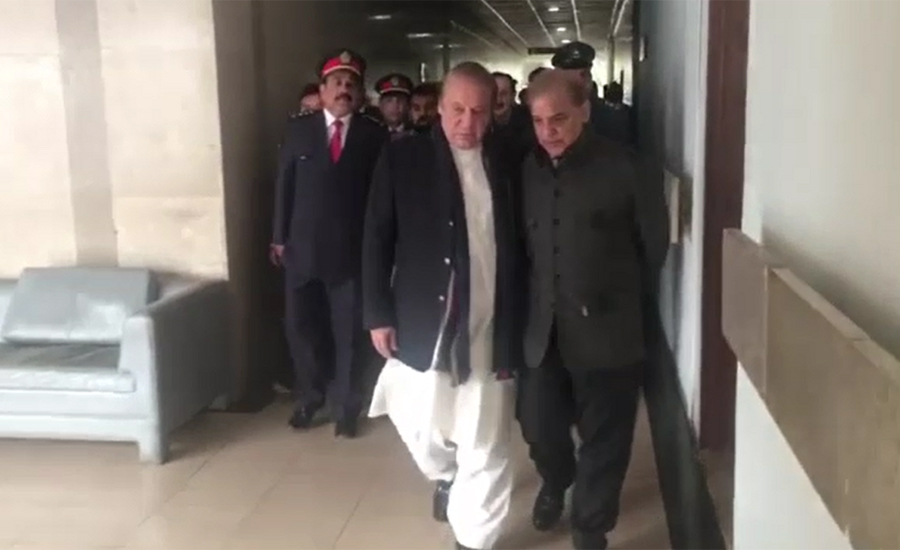 Nawaz Sharif, Shehbaz meet in Parliament House
