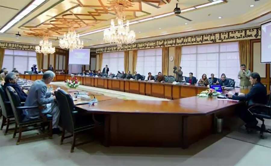 Federal cabinet decides to review ministers' performance after 3 months