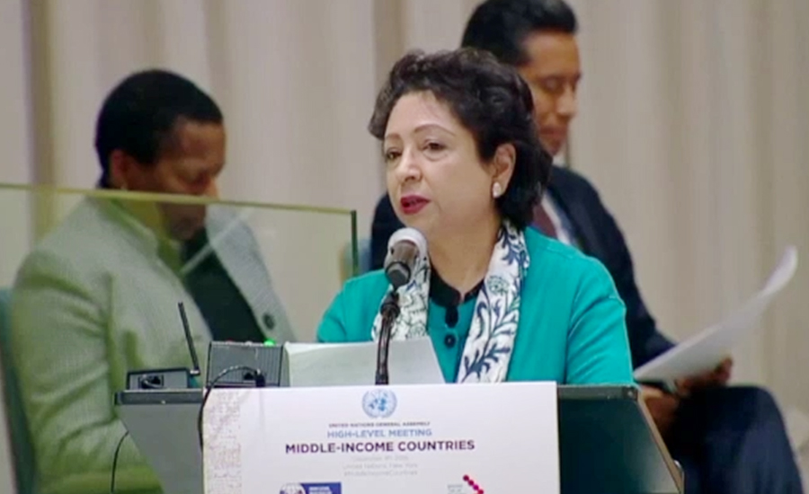 Sustainable progress impossible without alleviating poverty: Maleeha Lodhi