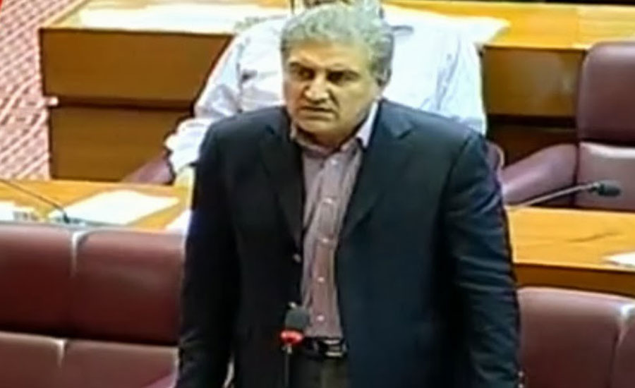 Qureshi invites opposition parties in creation of south Punjab province