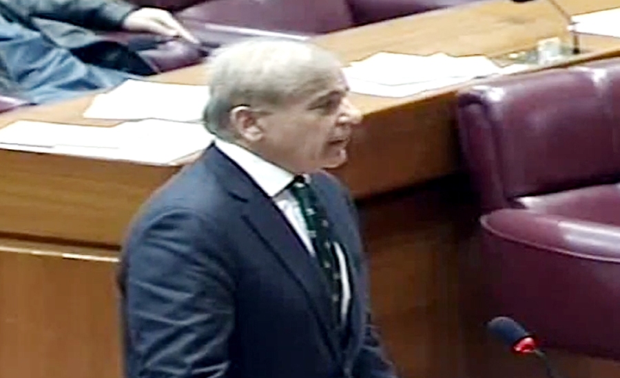 Will leave House if NAB proves corruption of a half paisa against me: Shehbaz