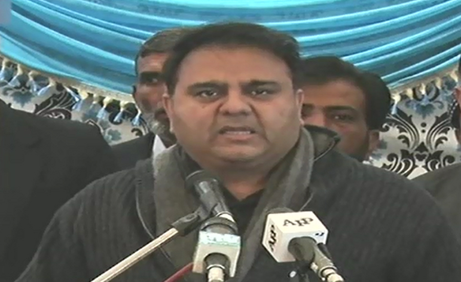 Two-family mafia was at the helm, says Fawad Ch