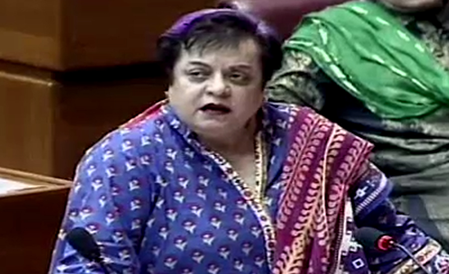 Why those responsible for Model Town tragedy not punished? Mazari