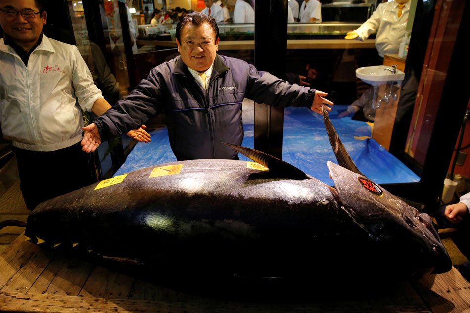 Tuna sells for record $3 million in auction at Tokyo's new fish market