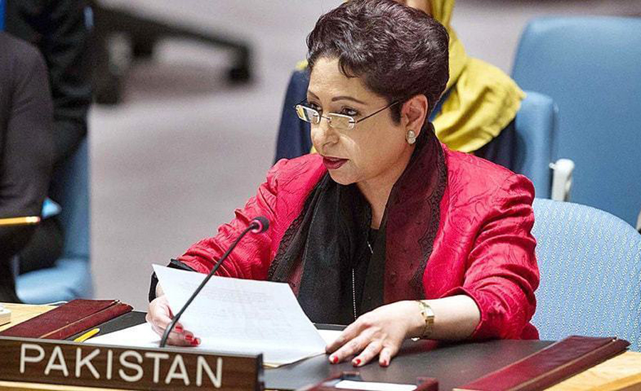 Govt wants to improve people’s living standard through social uplift: Maleeha Lodhi