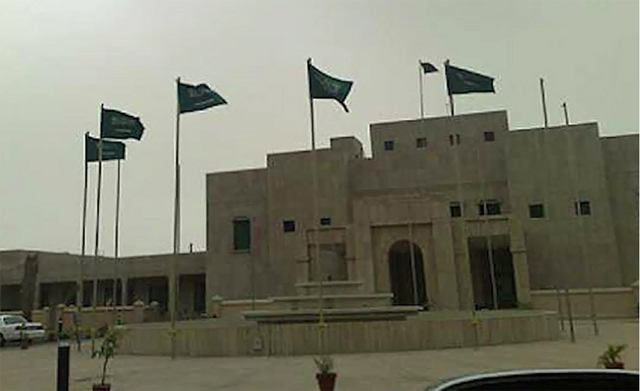 Saudi govt announces reduction in visa fee for Pakistanis