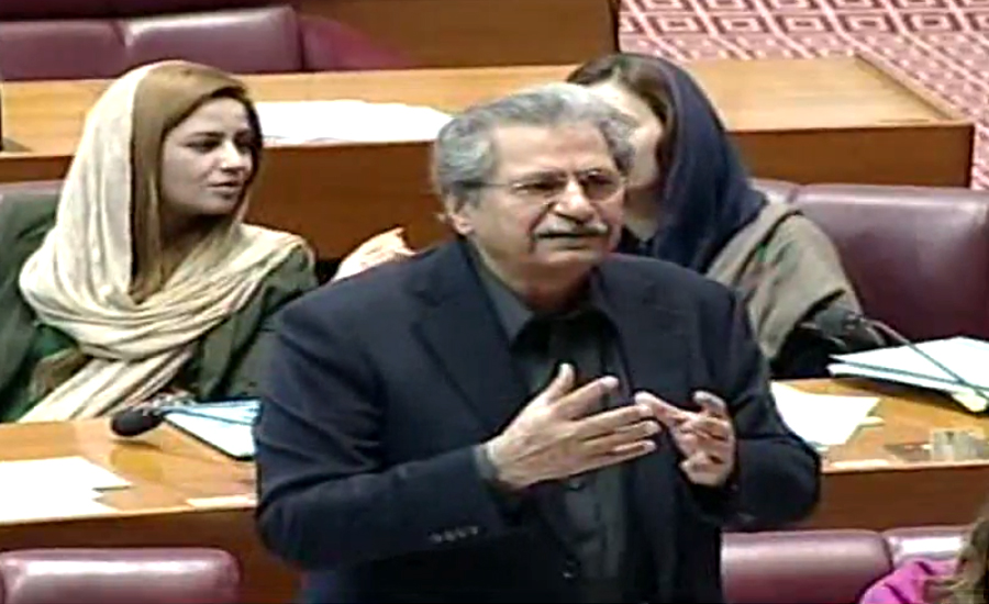Democracy can’t hinder accountability of corrupts: Shafqat Mahmood