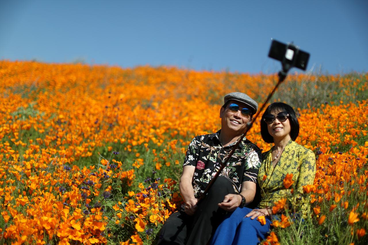 Crowds descend on California city to see 'superbloom'