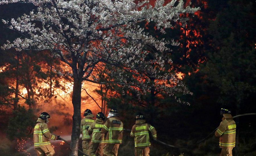 Thousands flee wildfire in South Korea's eastern coast, one dead