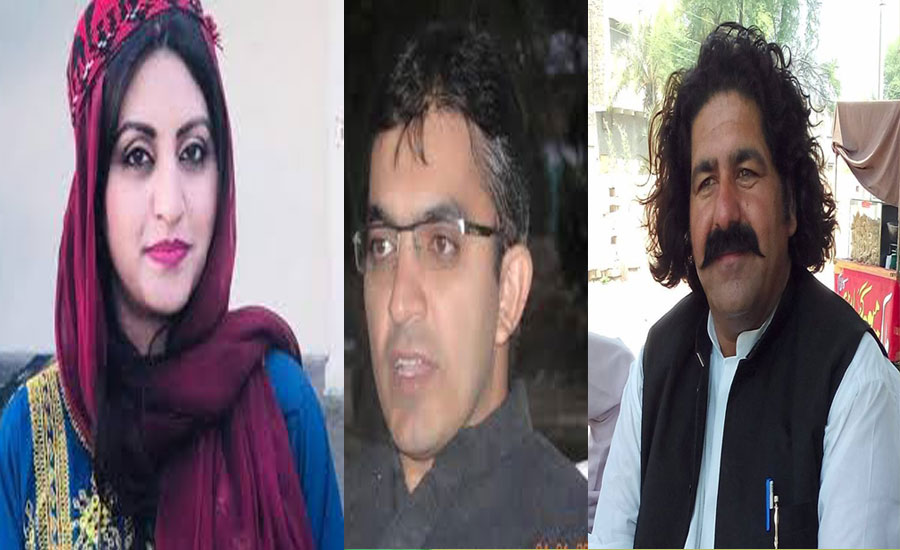 PBC demands govt to take strict action against PTM members